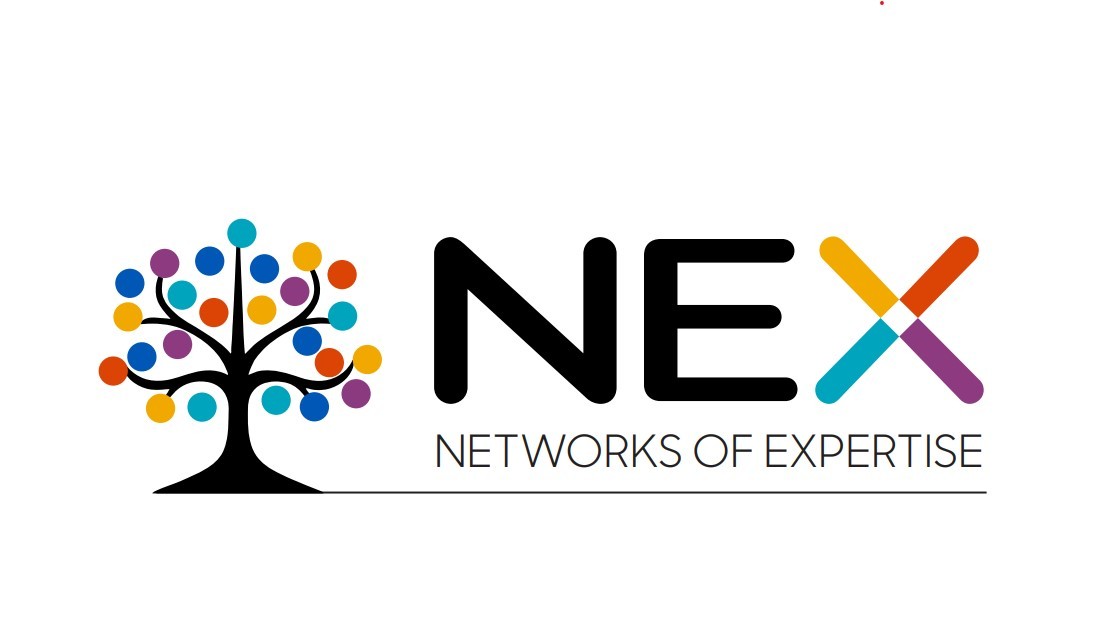 Networks of Expertise